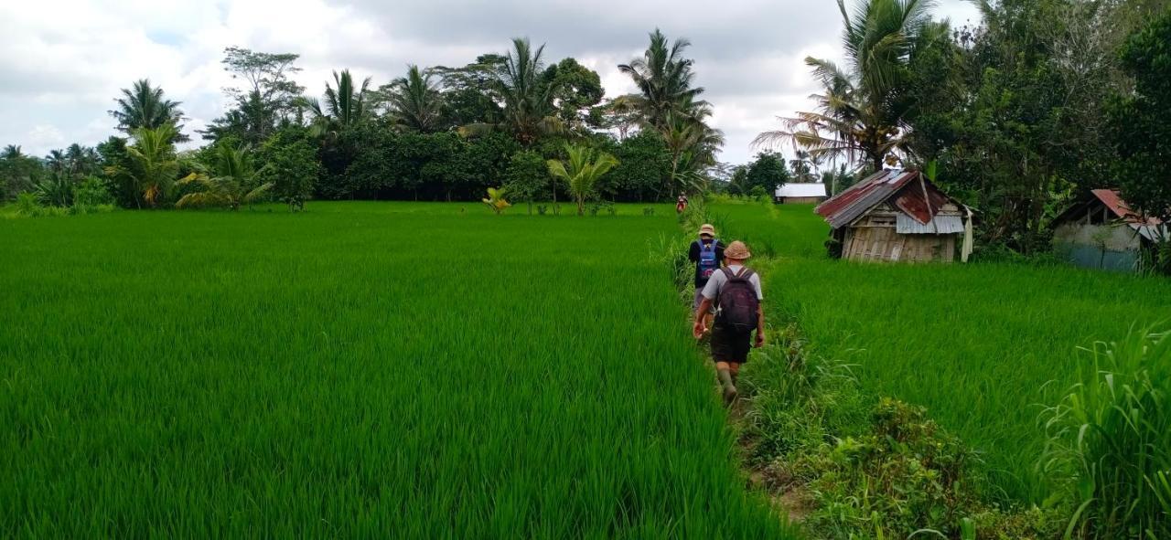 Rindu Homestay Undisan Exterior foto
